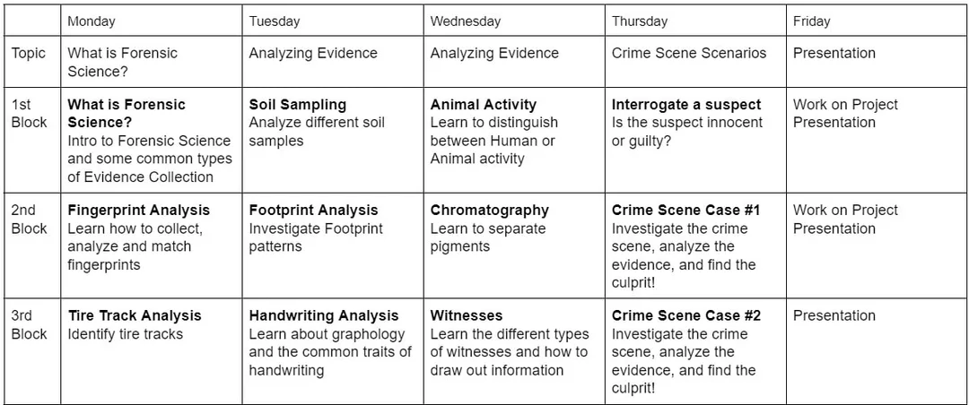 Lighthouse Camps Full English Forensic Investigator Camp for aged 8 to 12