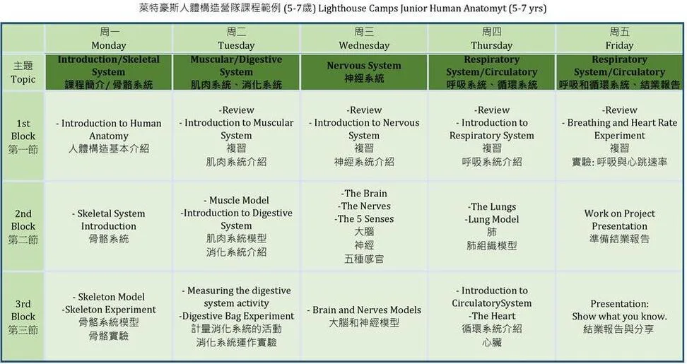 Lighthouse Junior Human Anatomy for age 5-7 萊特豪斯人體構造課程 5-7歲      